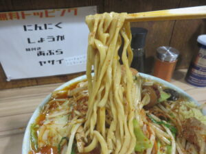 新フュージョンA@シン・ヒノブタ（新越谷駅）麺