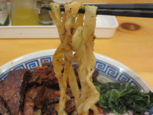 スパイスとハーブのルージャン麺@マジカルヌードル 口樂（八王子駅）麺