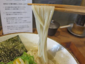 塩ラーメン（並盛）@RAMEN VILLAGE CAFE（高座渋谷駅）麺
