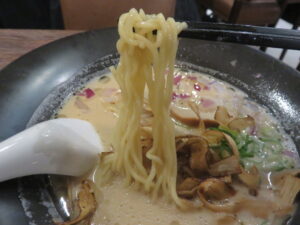 Vege白湯 Soy sauce@Tokyo vege ramen veJin（新宿駅）麺
