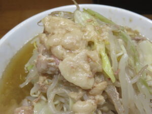 小ラーメン 少なめ@麺屋 小金（武蔵新城駅）具：アブラ