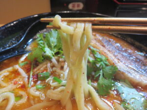 パクチー麻辣味噌ラーメン@麻辣味噌ラーメン 炎龍（神保町駅）麺