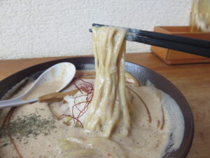 SOY味噌ラーメン@湖麺屋 Reel Cafe（山梨県南都留郡）麺