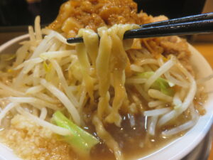 ミニラーメン@頑極（武蔵小山駅）麺