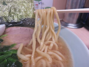 らーめん 並@らーめん 野々家（大倉山駅）麺