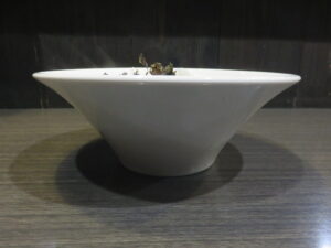 濃厚煮干しラーメン@麺屋 井上（堀切菖蒲園駅）ビジュアル：サイド