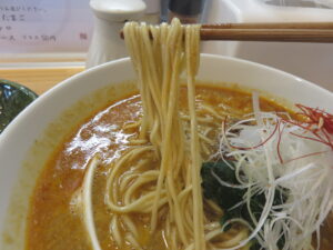 担々麺@中華そば HIBARI（竜舞駅）麺