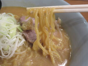 真髄 味噌ラーメン@麺屋 ひら乃（小田原駅）麺