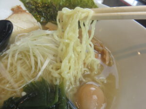 塩ラーメン@ラーメン留(早川駅)麺